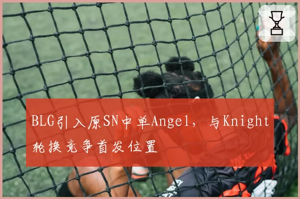 BLG引入原SN中单Angel，与Knight轮换竞争首发位置