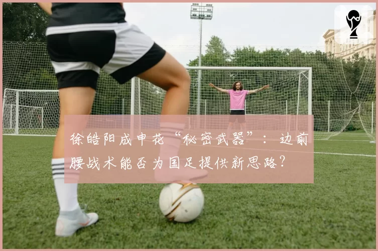 徐皓阳成申花“秘密武器”：边前腰战术能否为国足提供新思路？