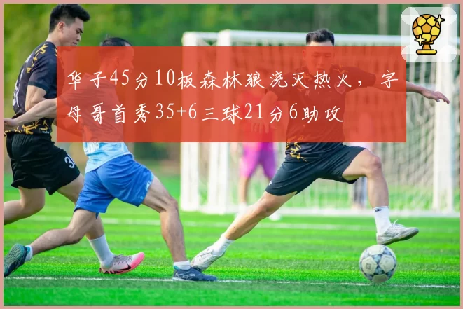 华子45分10板森林狼浇灭热火，字母哥首秀35+6三球21分6助攻